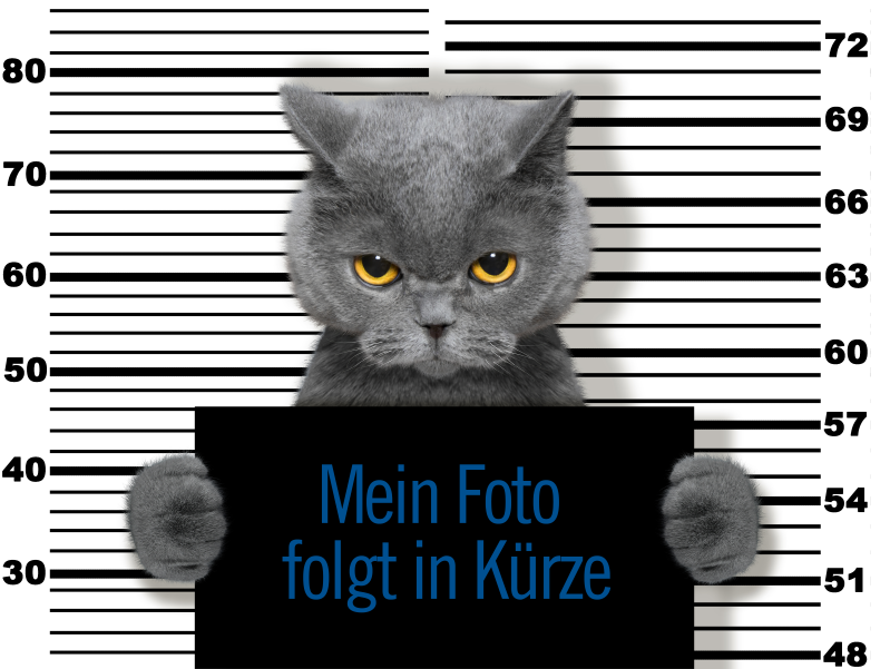 Bad cat at the police station (Mittel)
