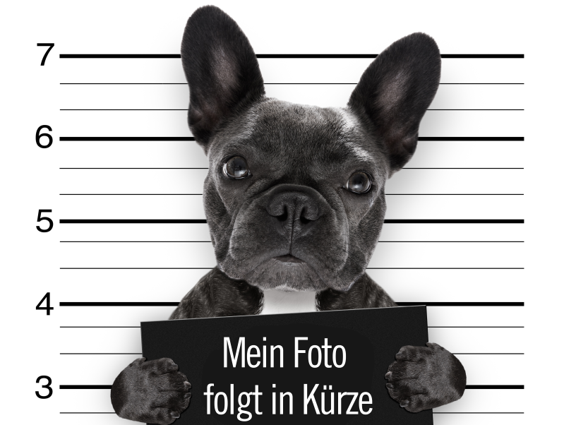 mugshot dog at police station-1 (Mittel)
