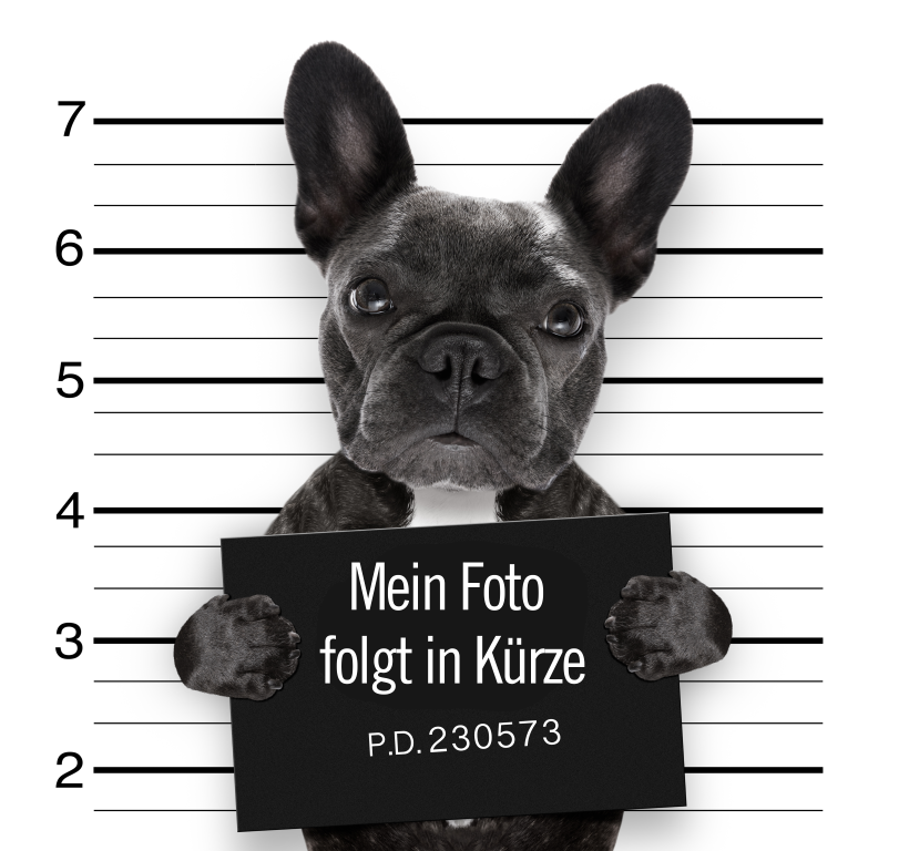 mugshot dog at police station-1 (Mittel)